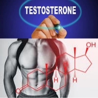Boost your Testosterone level