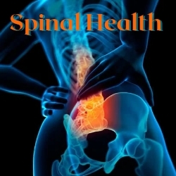 Spinal Health-What is Spine and it's function in human body