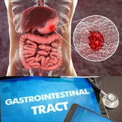 6 Major Functions of Gastrointestinal Tract