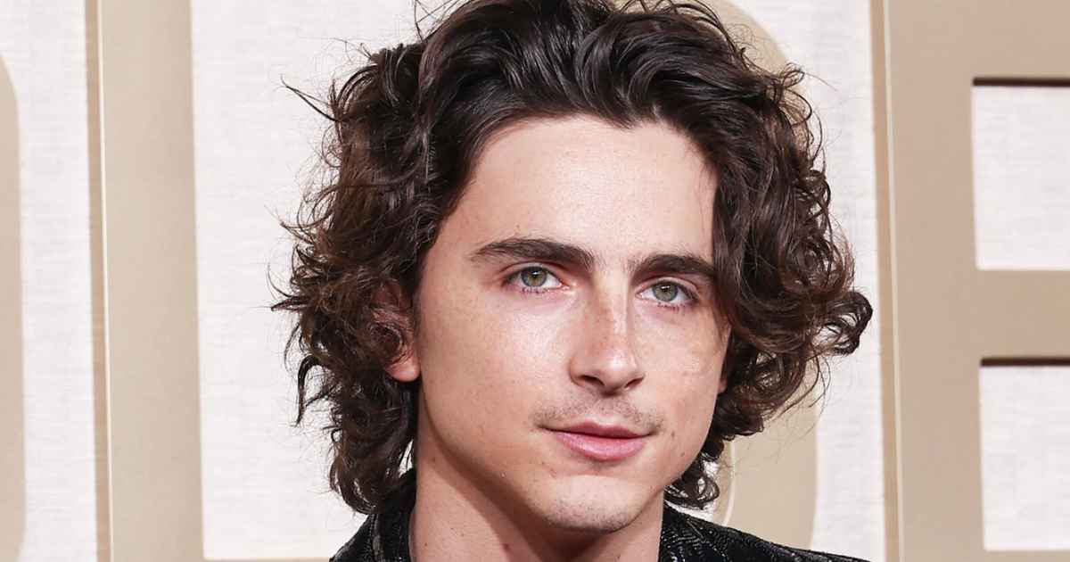 11 Timothee Chalamet Hair Moments Through the Years