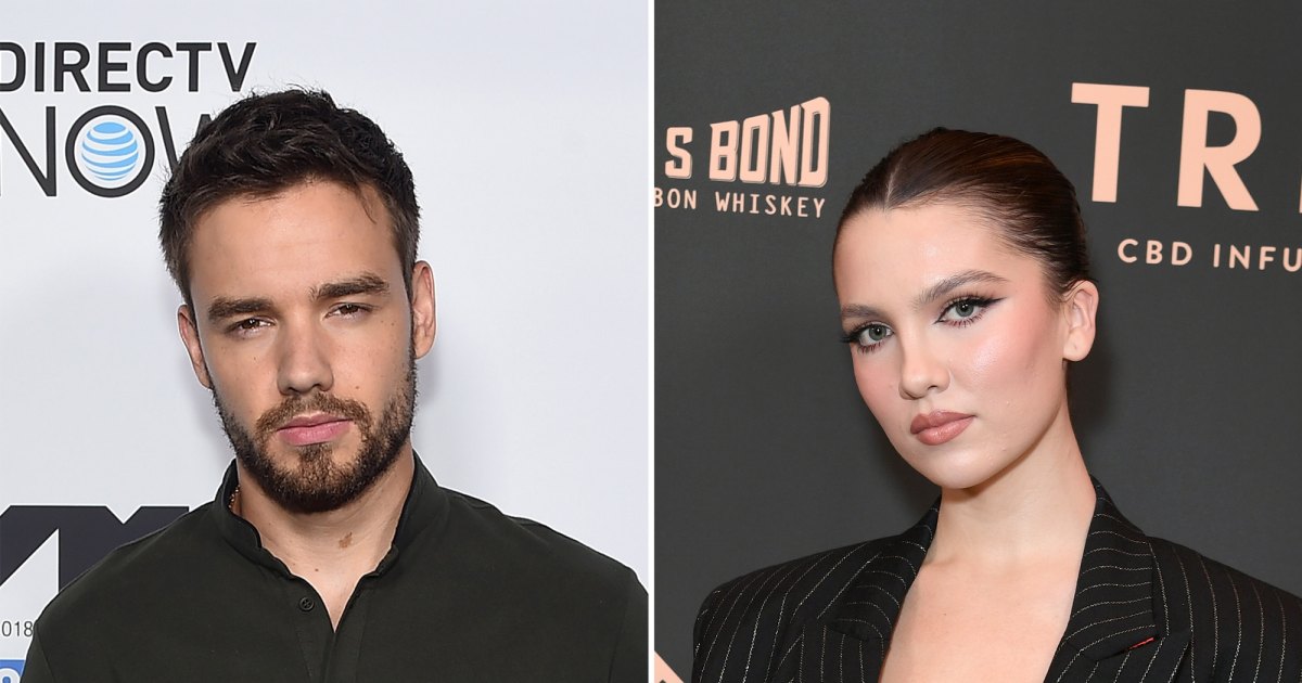 Liam Payne bombarded ex Maya Henry and her family with X rated photos of himself threatened revenge porn docs